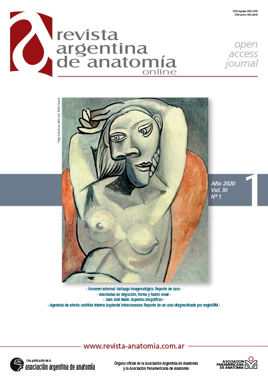 portada Revista Argentina de Anatomia Online 2020 Vol. XI Nº 1