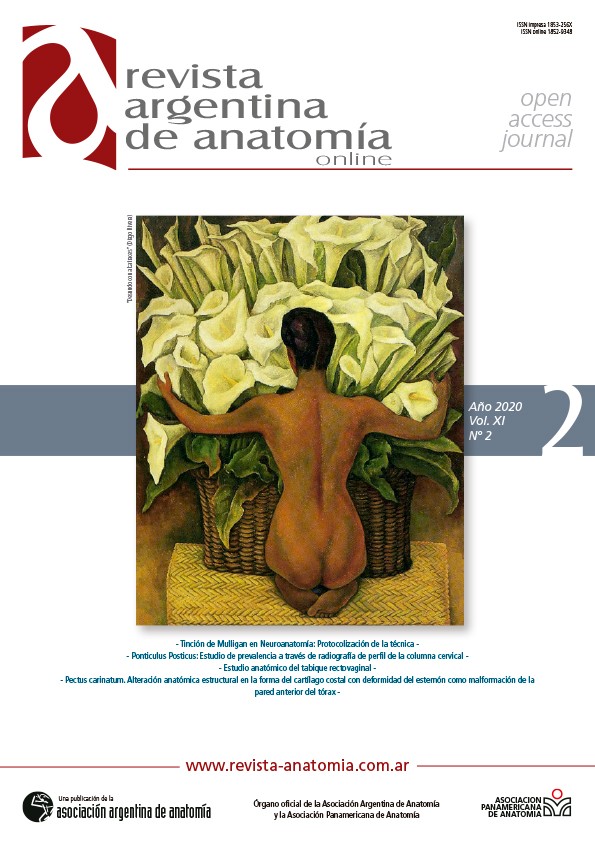 portada Revista Argentina de Anatomia Online 2020 Vol. XI Nº 2