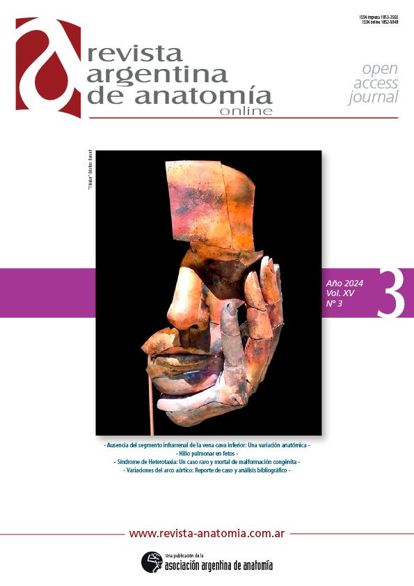 Portada Revista Argentina de Anatomia Online 2024 Vol. XV Nº 3